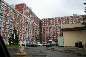 12 fevrier 2007 020.jpg